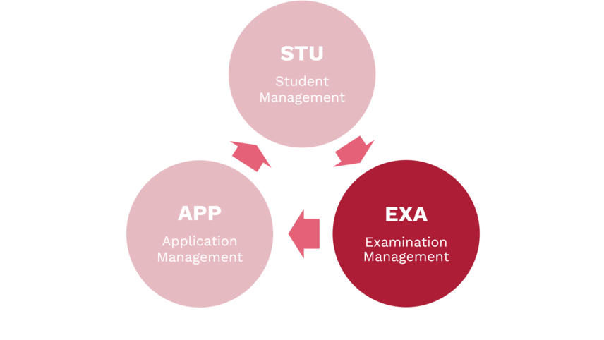 Overview of the components APP, STU, EXA in three circles arranged in a triangle; EXA highlighted