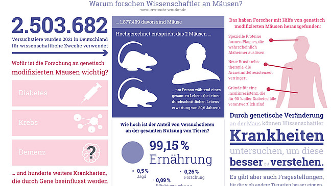 Graphic that explores the question of why scientists conduct research on mice. It illustrates in detail how many laboratory animals were used in 2021, for which areas the research is important and what knowledge was gained from research on mice.