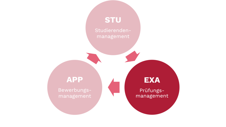 Übersicht der Teilbereich APP, STU, EXA in drei im Dreieck angeordneten Kreisen; EXA hervorgehoben