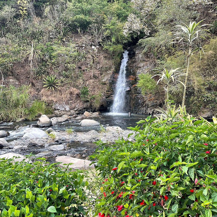 Ein kleiner Wasserfall, der über felsiges Gelände in ein ruhiges Gewässer mit Steinen mündet. Der Wasserfall ist von üppigen grünen Pflanzen und blühenden Sträuchern umgeben. Im Hintergrund sind verschiedene Bäume und Laubbäume zu sehen.