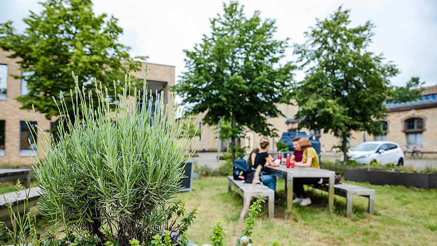 Vier Studierende sitzen an einem Tisch auf einer Wiese am Campus Westerberg.