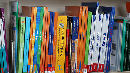 Different colored books for language learning are on a bookshelf.