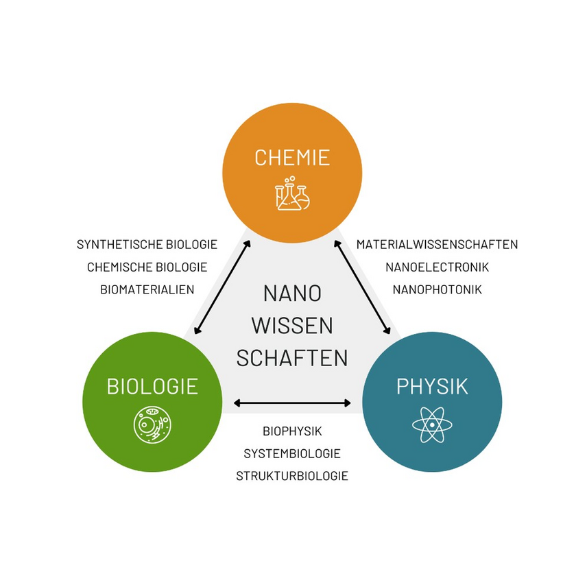 Schaubild des Zusammenspiels der Nanowissenschaften mit den Bereichen Chemie und Biologie, mit den Unterkategorien: Synthetische Biologie, Chemische Biologie, Biomaterialien; Biologie und Physik mit den Unterkategorien: Biophysik, Systembiologie, Strukturbiologie und der Physik mit der Chemie mit den Unterkategorien: Materialwissenschaften, Nanoelektronik, Nanophotonik