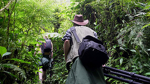 Two people are walking through a dense jungle. In the foreground, a person wearing a hat, carrying a camera bag and dragging a tripod behind them. The lush vegetation surrounds them as they walk along a narrow path.