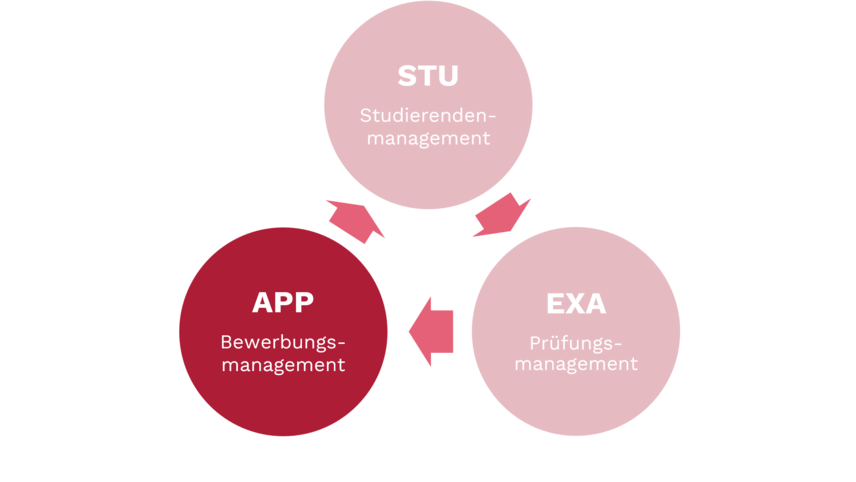 Übersicht der Teilbereich APP, STU, EXA in drei im Dreieck angeordneten Kreisen; APP hervorgehoben