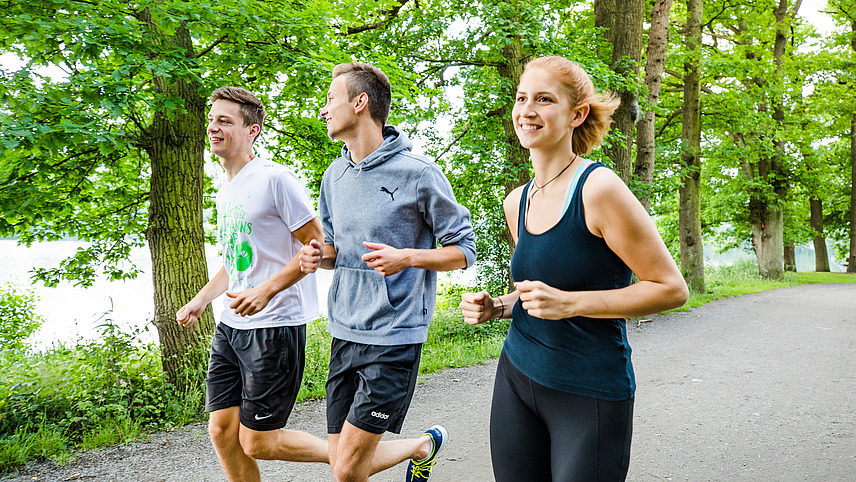 Drei Studierende joggen am Rubbenbruchsee über einen von Bäumen gesäumten Schotterweg.