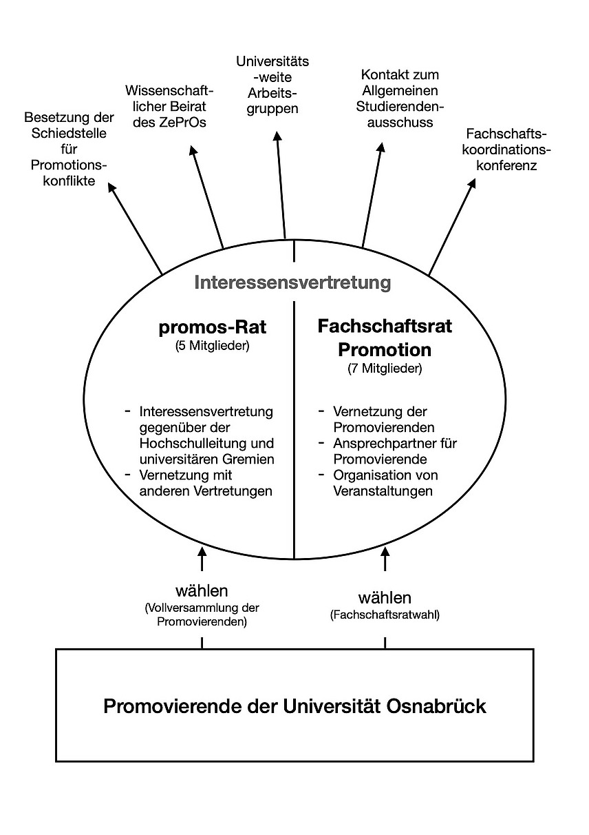 Organe und Aufgaben der Promovierendenvertretung