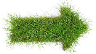 An arrow made of green grass pointing to the right