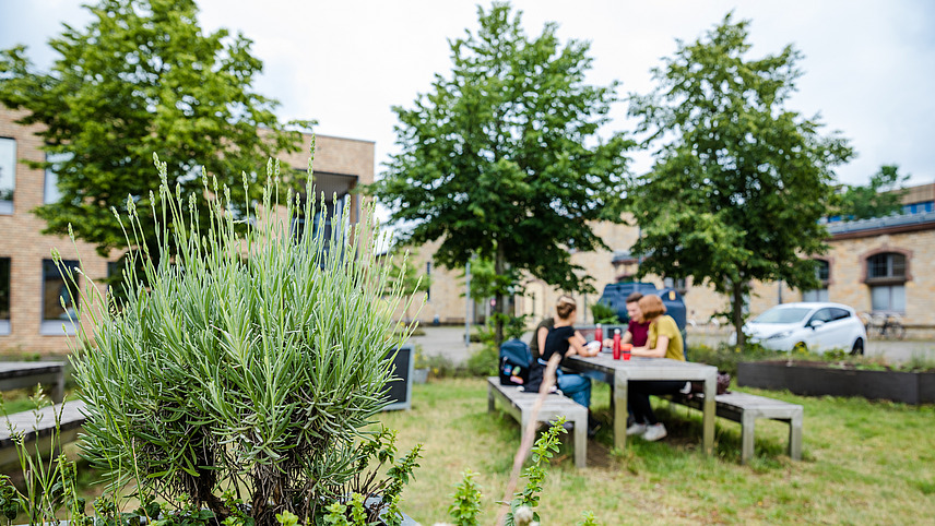 Vier Studierende sitzen an einem Tisch auf einer Wiese am Campus Westerberg.