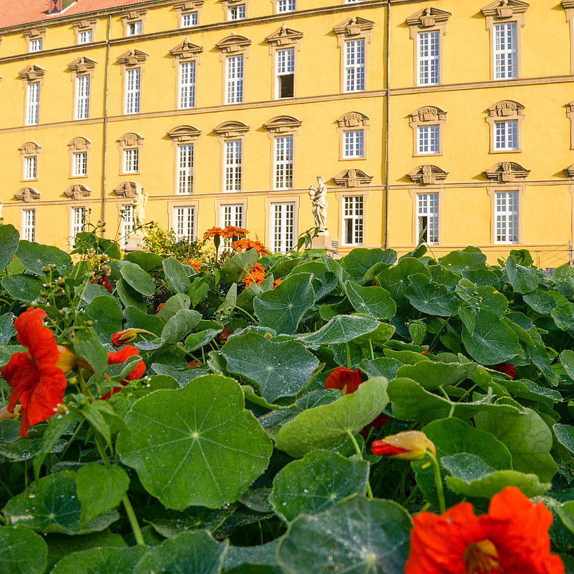 Das Bild zeigt einen farbenfrohen Garten mit leuchtend roten Blumen im Vordergrund, umgeben von grünen Blättern. Im Hintergrund erhebt sich ein gelbes Gebäude mit vielen Fenstern und architektonischen Details. Einige Statuen sind nahe dem Gebäude sichtbar, und eine Person geht entlang des Wegs. 