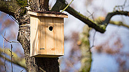 Vogelnistkasten aus Holz an einem Baum