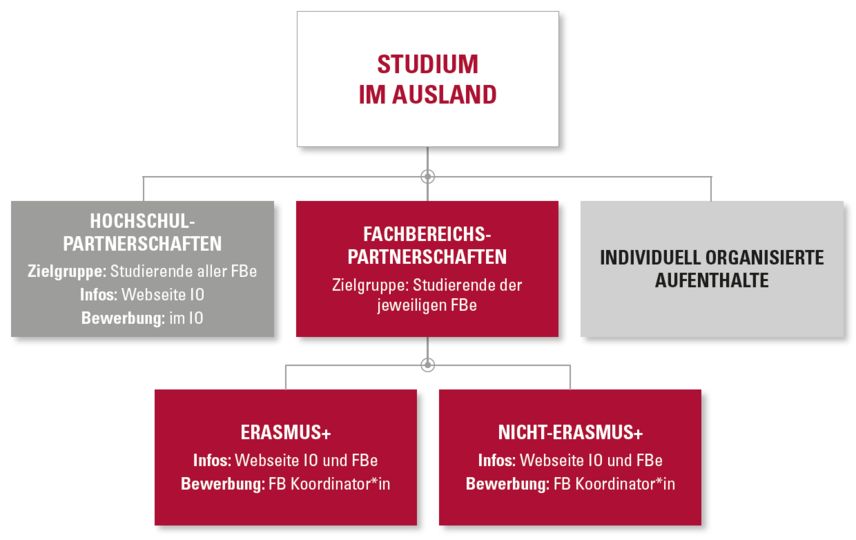 Die Infografik zeigt die verschiedenen Wege ein Studium im Ausnland zu absolvieren. Es gibt die Optionen Hochschulpartnerschaften für Studierende aller Fachbereiche, Die Fachbereichspartnerschaften für Studierende der jeweiligen Fachbereiche mit der Unterteilung in Erasmus+ und nicht-Erasmus+ Aufenthalte, individuell organisierte Aufenthalte. Zusätzlich gibt es die Fremdsprachenassistenz für Studierende aller Fachbereiche und ein Praktikum im Ausland für Studierende aller Fachbereiche.