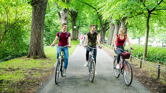 Drei Studierende fahren Fahrrad auf einem Weg mit vielen Bäumen.