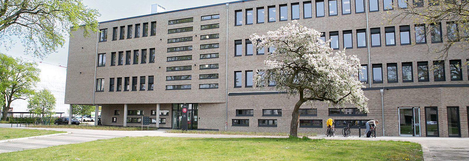 Ein modernes Gebäude mit einer Fassade aus grauen Ziegeln und vielen Fenstern ist im Bild zu sehen. Im Vordergrund gibt es eine große Rasenfläche mit einem blühenden Baum. Einige Personen sind zu erkennen, die mit Fahrrädern unterwegs sind. An der Fassade ist die Nummer 75 sichtbar.