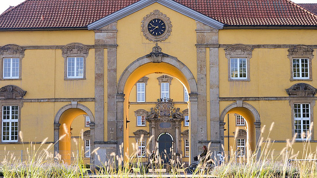 Frontal view of the yellow Osnabrück Castle with grasses in the foreground.