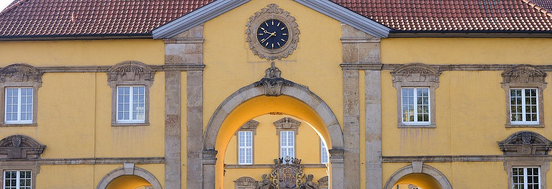 Frontal view of the yellow Osnabrück Castle with grasses in the foreground.