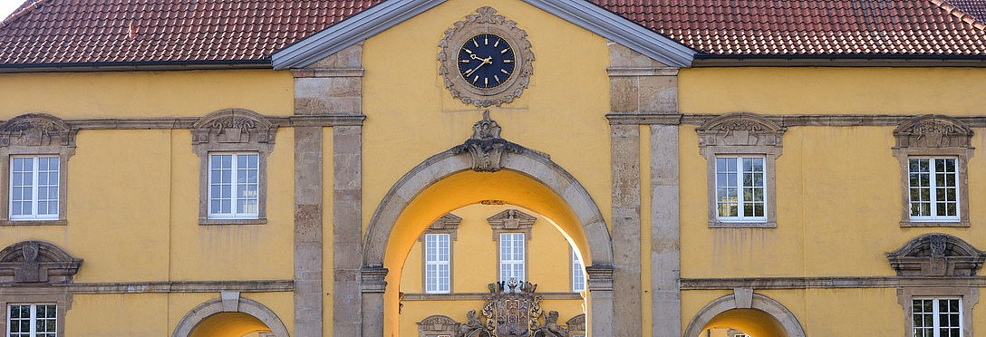 Frontalansicht auf das gelbe Osnabrücker Schloss mit Gräsern im Vordergrund.