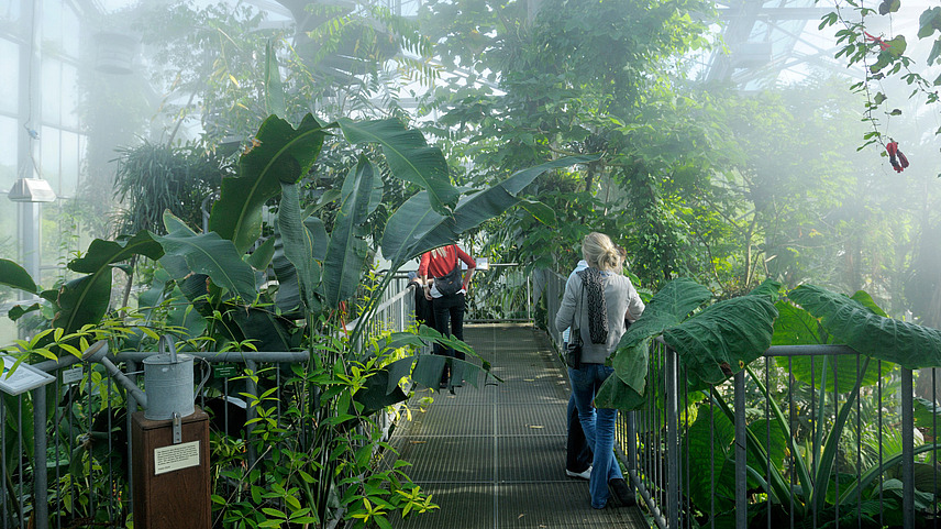 Besucher im Regenwaldhaus