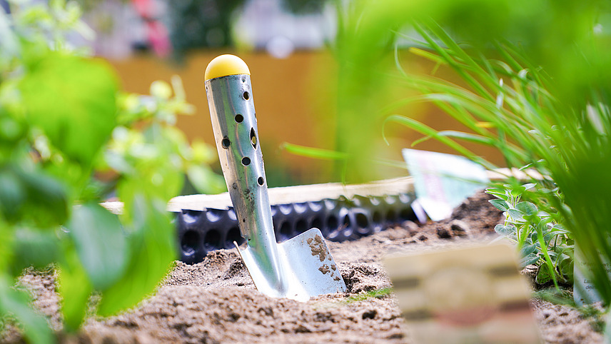 A small shovel is stuck in a raised bed surrounded by green plants.