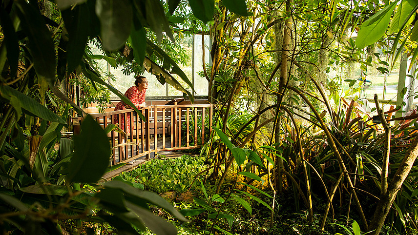 Blick durch das Dickicht. Eine Frau steht auf einer Platform im Botanischen Garten. Sie ist umgeben von tropischen Pflanzen.