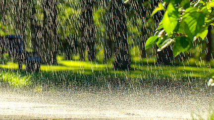 rain, asphalt, day, drop, puddle, street, water, weather, wet, falling, abstract, background, city, closeup, heavy, liquid, nature, rainy, reflection, road, storm, blue, climate, downpour, raindrop, ripple, splashing, spray, surface, light, outdoors, splash, droplet, river, seasons, life, motion, dark, fall, flood, raindrops, season, summer, texture, urban, sun, park, torrential, photography, green