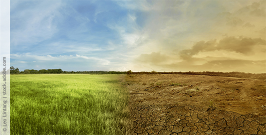 Das Bild zeigt eine geteilte Landschaft: Links ist ein grünes, blühendes Feld unter blauem Himmel, während rechts eine trockene, sterbende Landschaft mit rissigem Boden und einem gelblich-orangefarbenen Himmel abgebildet ist. Der Kontrast verdeutlicht unterschiedliche Umweltzustände.