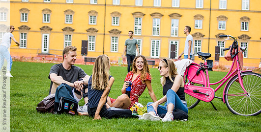 Vier Studierende sitzen auf einer Decke im Schlossgarten. Neben ihnen steht ein pinkes Fahrrad. Im Hintergrund spielen Studierende Frisbee.