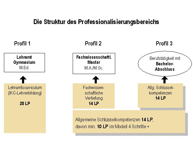 Struktur Professionalisierungsbereich